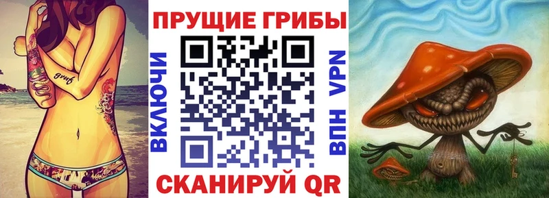 где купить наркотик  Лабинск  Галлюциногенные грибы ЛСД 