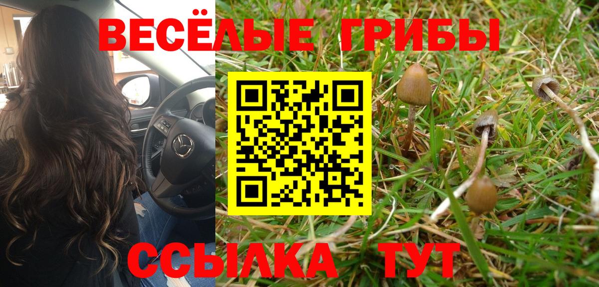 Псилоцибиновые грибы MAGIC MUSHROOMS  цена   Лабинск  Псилоцибиновые грибы GOLDEN TEACHER  Вход с VPN 