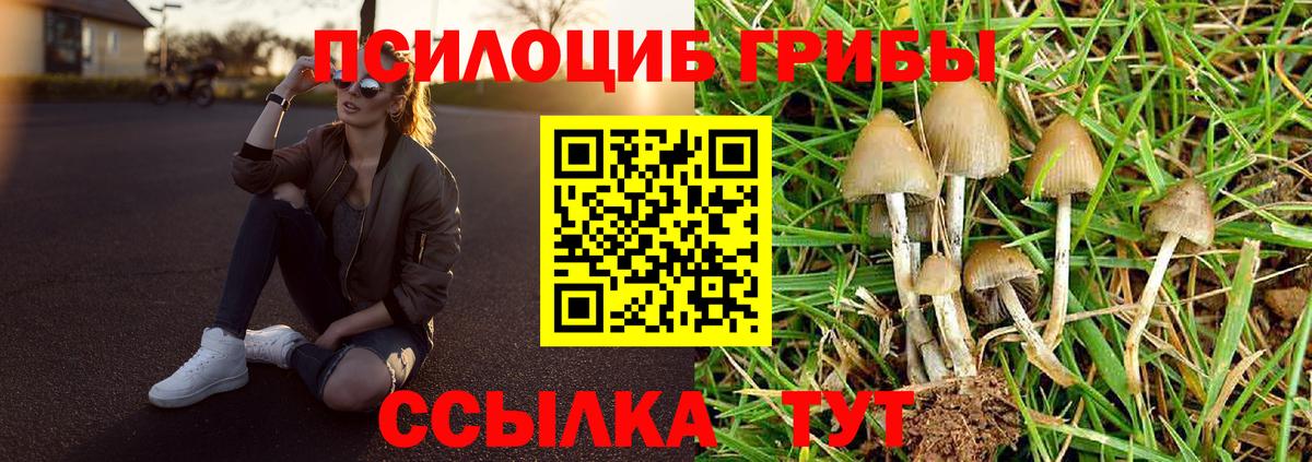 Псилоцибиновые грибы MAGIC MUSHROOMS Лабинск